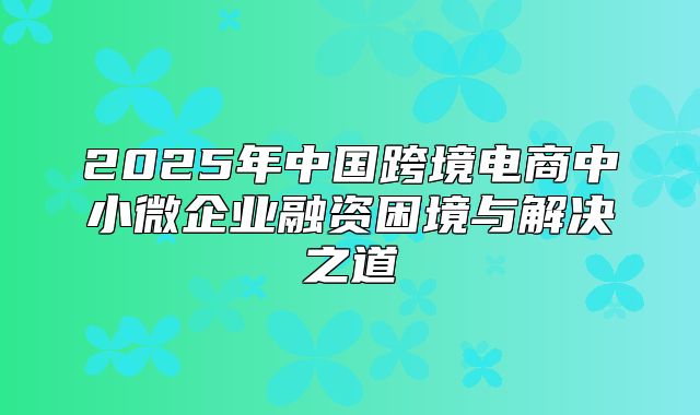 2025年中国跨境电商中小微企业融资困境与解决之道
