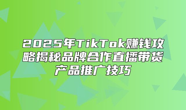 2025年TikTok赚钱攻略揭秘品牌合作直播带货产品推广技巧