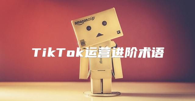 TikTok运营进阶术语