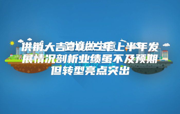 供销大吉2025年上半年发展情况剖析业绩虽不及预期但转型亮点突出