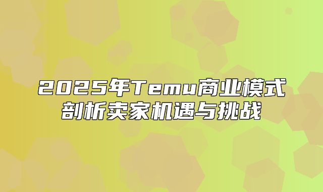 2025年Temu商业模式剖析卖家机遇与挑战