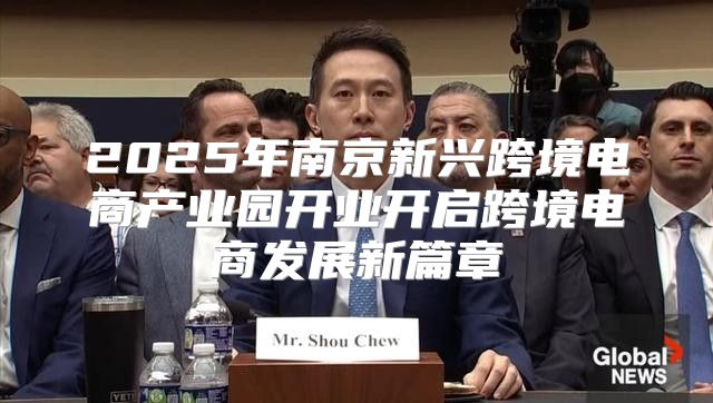 2025年南京新兴跨境电商产业园开业开启跨境电商发展新篇章
