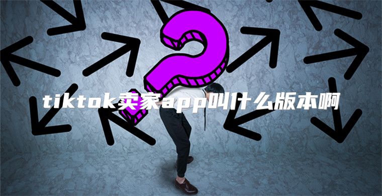 tiktok卖家app叫什么版本啊