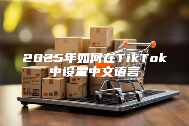 2025年如何在TikTok中设置中文语言