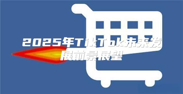 2025年TikTok未来发展前景展望
