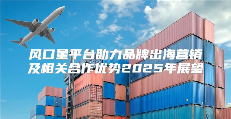 风口星平台助力品牌出海营销及相关合作优势2025年展望