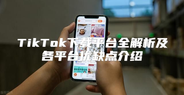 TikTok下载平台全解析及各平台优缺点介绍