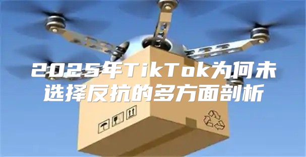 2025年TikTok为何未选择反抗的多方面剖析