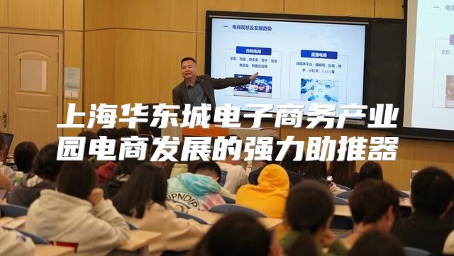 上海华东城电子商务产业园电商发展的强力助推器