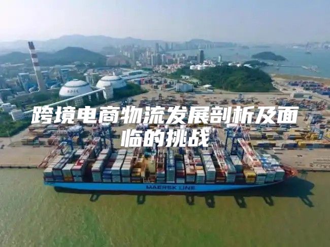 跨境电商物流发展剖析及面临的挑战