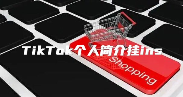 TikTok个人简介挂ins