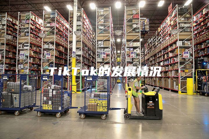 TikTok的发展情况