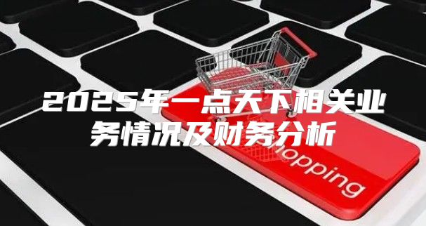 2025年一点天下相关业务情况及财务分析