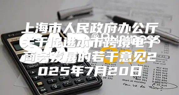上海市人民政府办公厅关于促进本市跨境电子商务发展的若干意见2025年7月20日