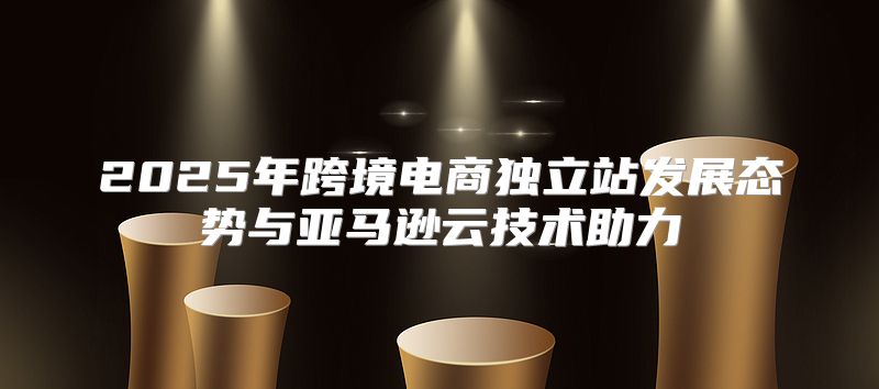 2025年跨境电商独立站发展态势与亚马逊云技术助力