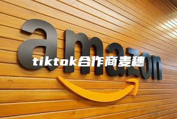 tiktok合作商麦穗