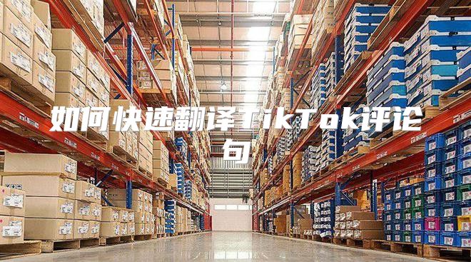 如何快速翻译TikTok评论句