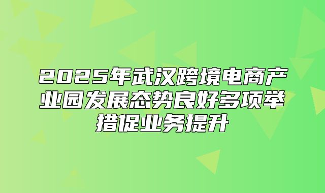 2025年武汉跨境电商产业园发展态势良好多项举措促业务提升