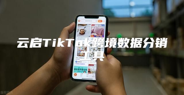 云启TikTok跨境数据分销工具
