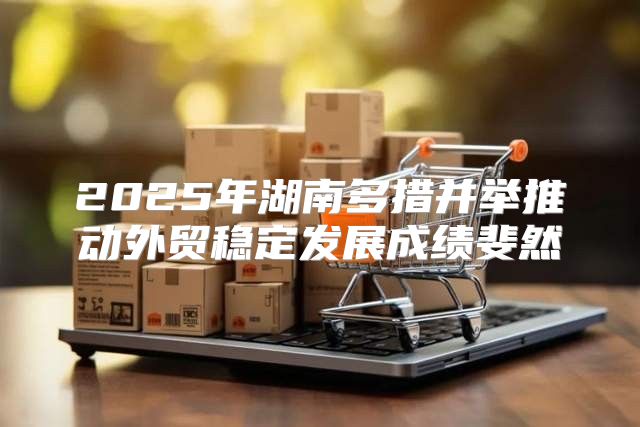 2025年湖南多措并举推动外贸稳定发展成绩斐然