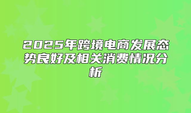2025年跨境电商发展态势良好及相关消费情况分析