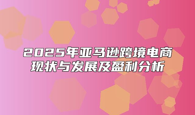 2025年亚马逊跨境电商现状与发展及盈利分析