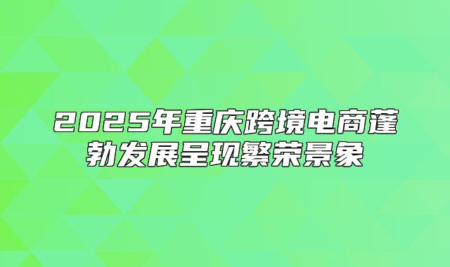 2025年重庆跨境电商蓬勃发展呈现繁荣景象