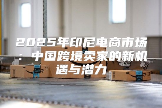 2025年印尼电商市场：中国跨境卖家的新机遇与潜力