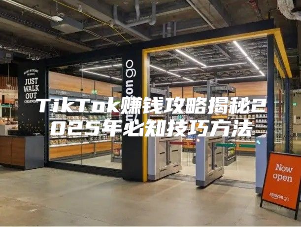 TikTok赚钱攻略揭秘2025年必知技巧方法