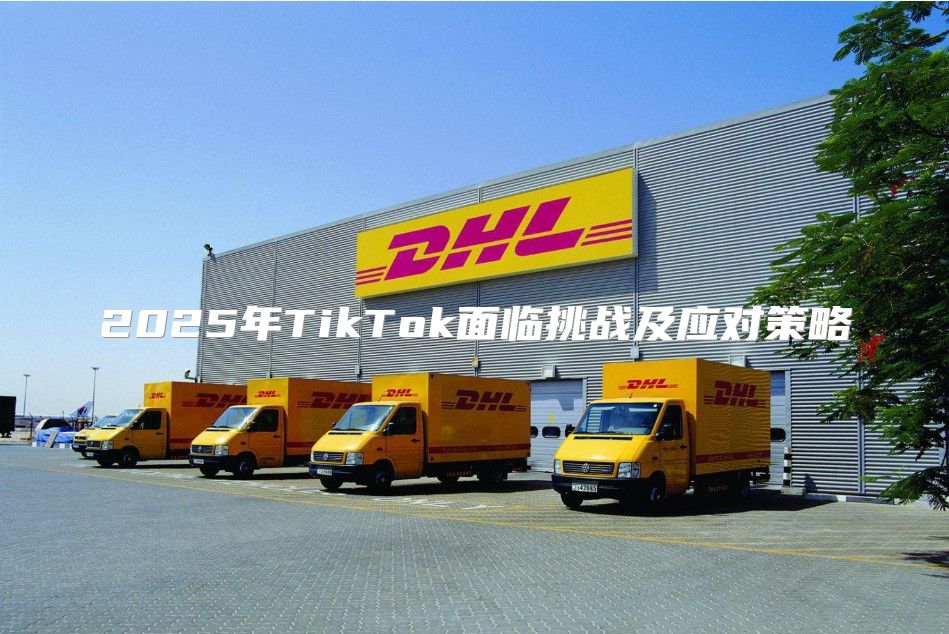 2025年TikTok面临挑战及应对策略