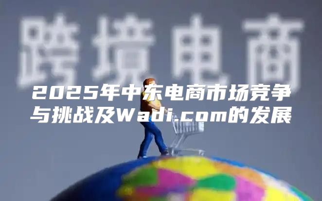 2025年中东电商市场竞争与挑战及Wadi.com的发展