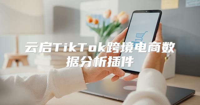 云启TikTok跨境电商数据分析插件