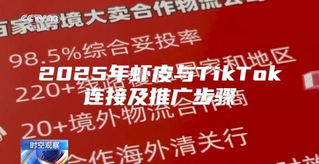 2025年虾皮与TikTok连接及推广步骤