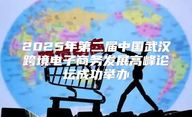 2025年第二届中国武汉跨境电子商务发展高峰论坛成功举办