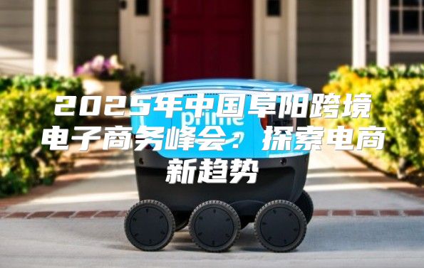 2025年中国阜阳跨境电子商务峰会：探索电商新趋势