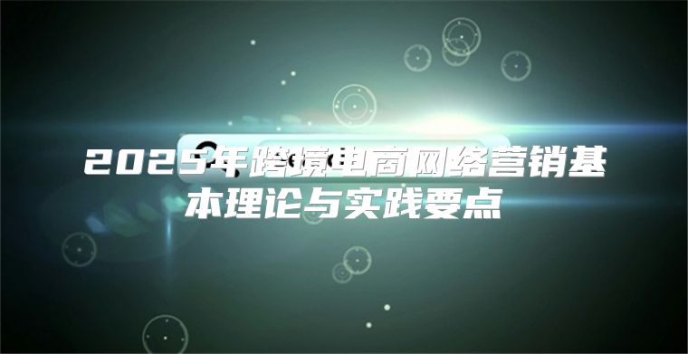 2025年跨境电商网络营销基本理论与实践要点