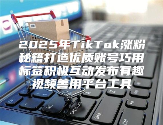 2025年TikTok涨粉秘籍打造优质账号巧用标签积极互动发布有趣视频善用平台工具