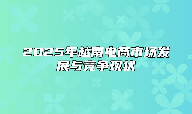 2025年越南电商市场发展与竞争现状