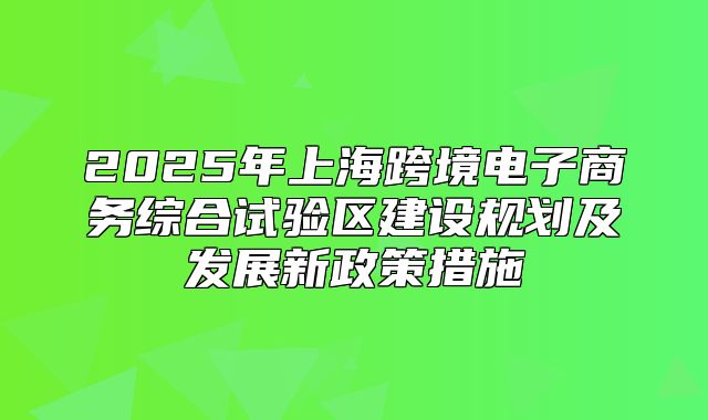 2025年上海跨境电子商务综合试验区建设规划及发展新政策措施