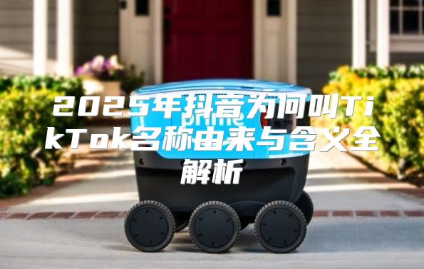 2025年抖音为何叫TikTok名称由来与含义全解析