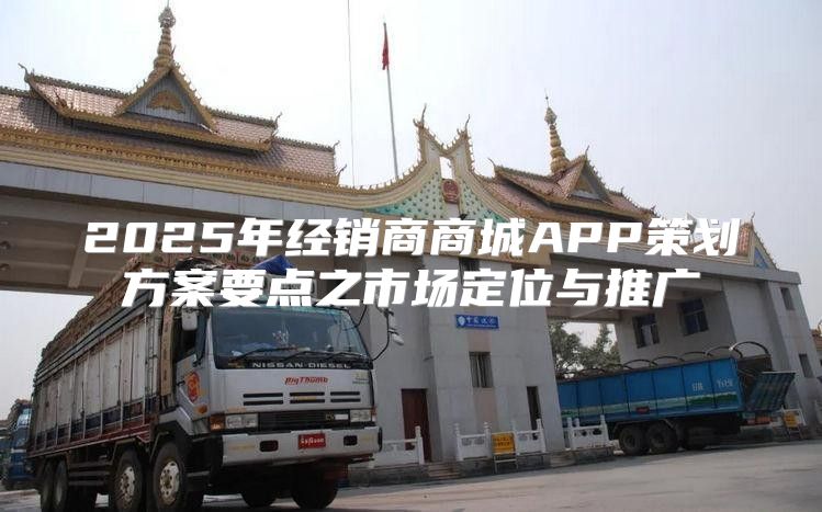 2025年经销商商城APP策划方案要点之市场定位与推广