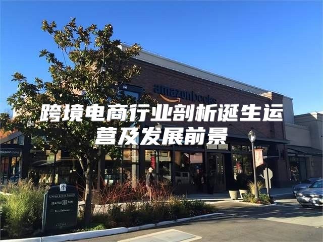 跨境电商行业剖析诞生运营及发展前景