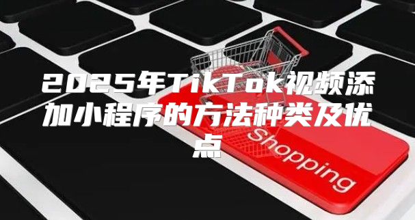 2025年TikTok视频添加小程序的方法种类及优点