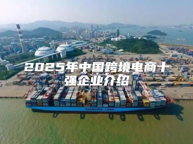 2025年中国跨境电商十强企业介绍