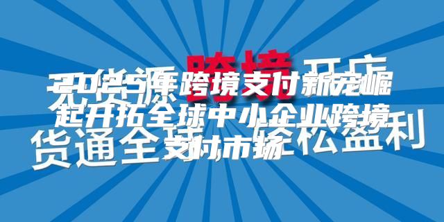 2025年跨境支付新宠崛起开拓全球中小企业跨境支付市场
