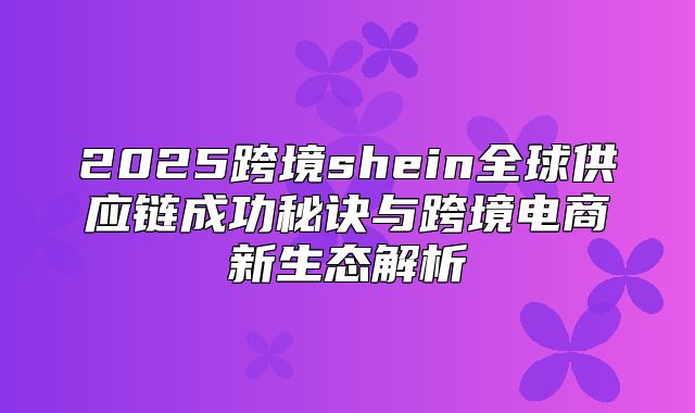 2025跨境shein全球供应链成功秘诀与跨境电商新生态解析
