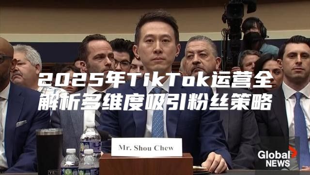 2025年TikTok运营全解析多维度吸引粉丝策略