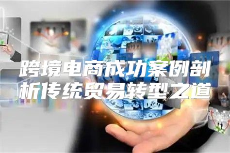 跨境电商成功案例剖析传统贸易转型之道