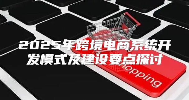 2025年跨境电商系统开发模式及建设要点探讨