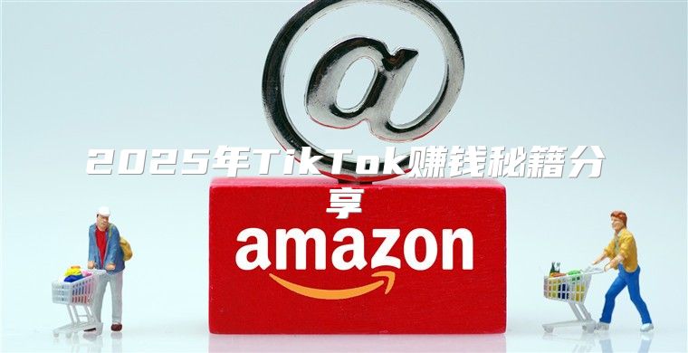 2025年TikTok赚钱秘籍分享